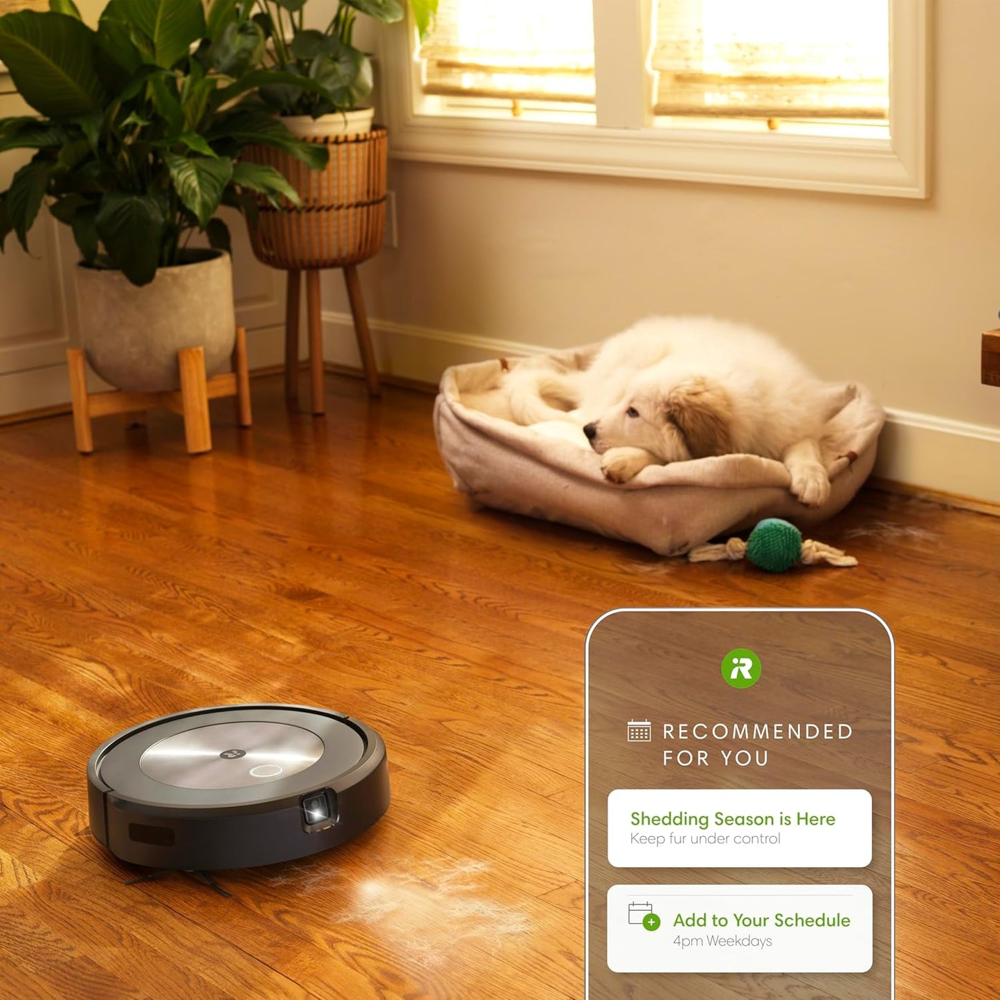roomba j7+